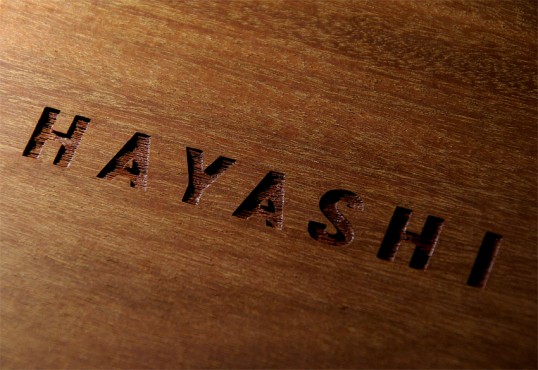 hayashi2