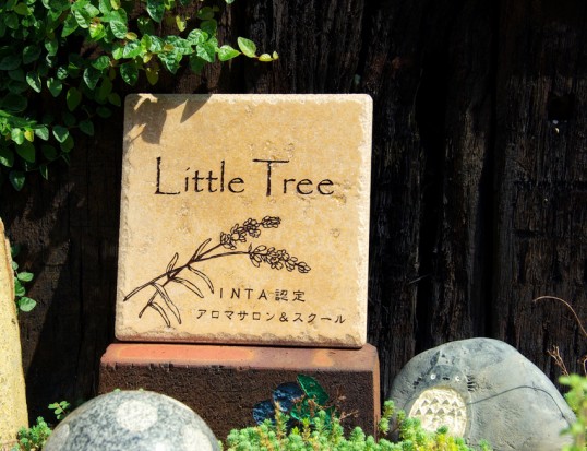 littletree