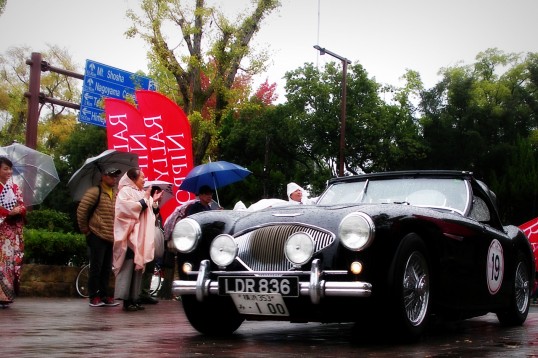 AUSTIN HEALEY 100 1955