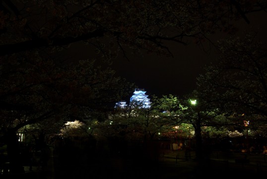 ライト・イット・アップ・ブルー(LIUB)