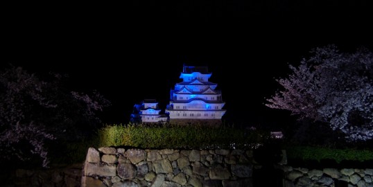 ライト・イット・アップ・ブルー(LIUB)