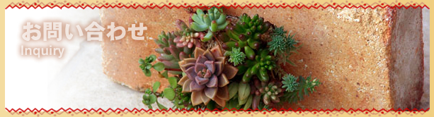 ���䤤��碌