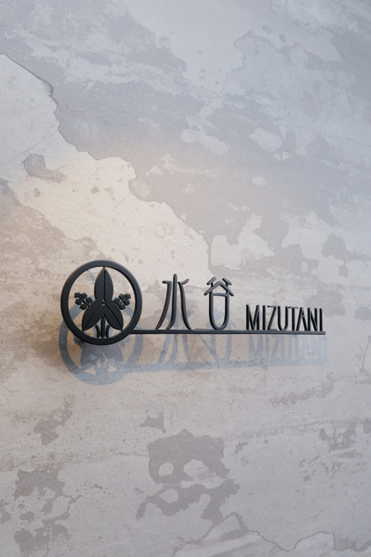 mizutaniN3