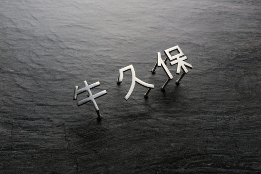 ステンレス切り文字表札