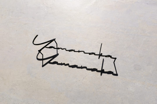 ステンレス切り文字表札