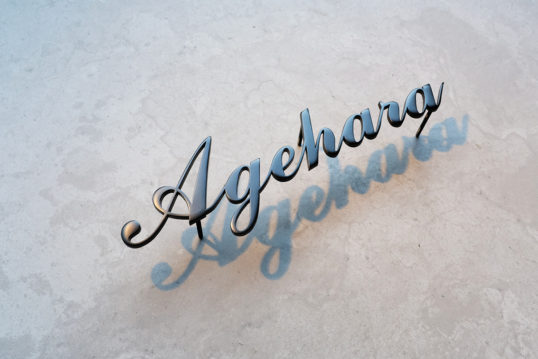 ステンレス切り文字表札