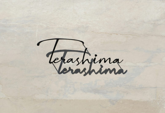 ステンレス切り文字表札