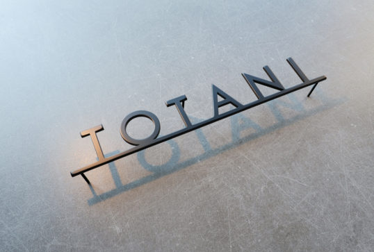 ステンレス切り文字表札