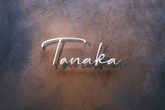 いぶし真鍮切り文字表札