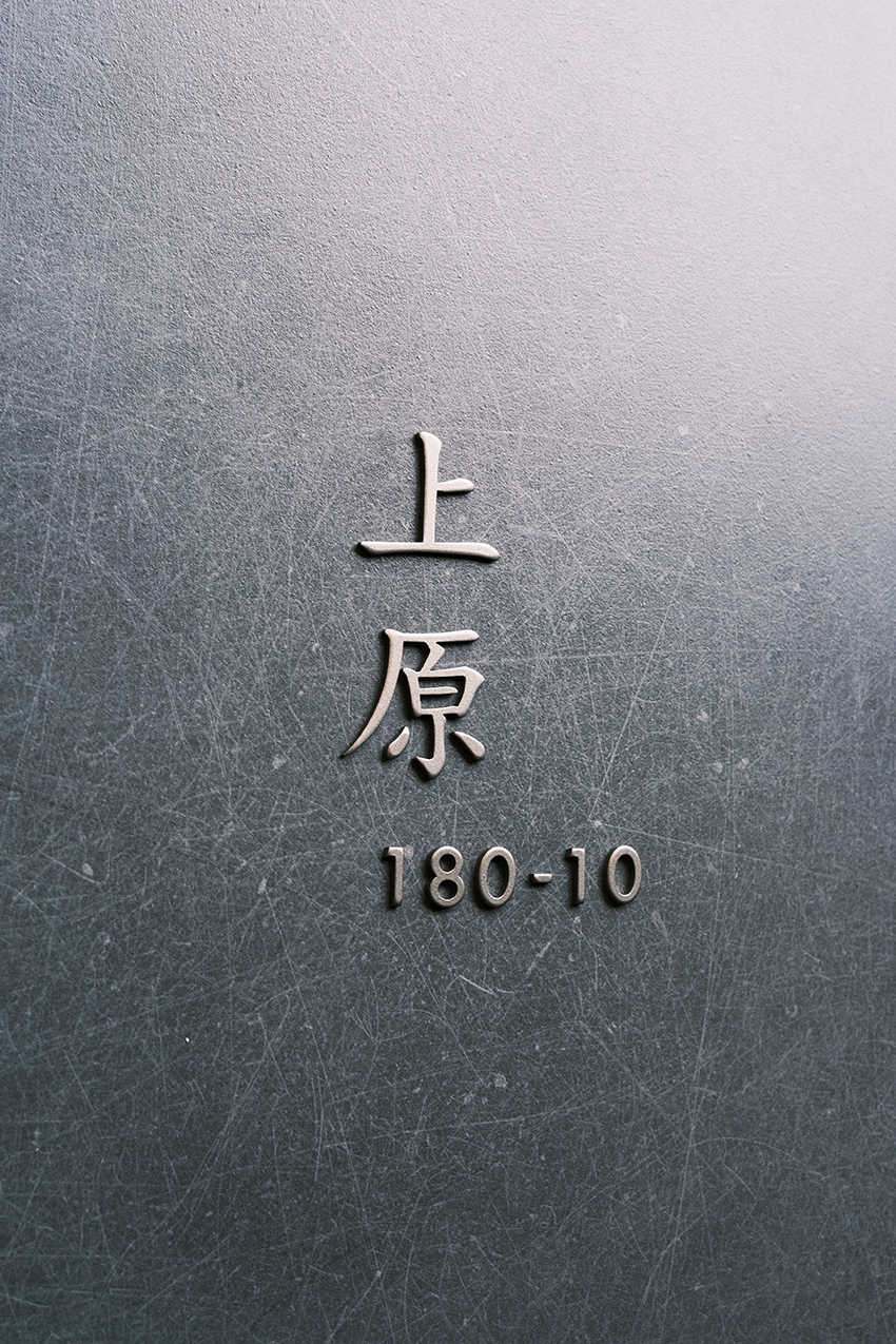 ステンレス切り文字表札 オスポール（サンワカンパニー） | ヒロノ