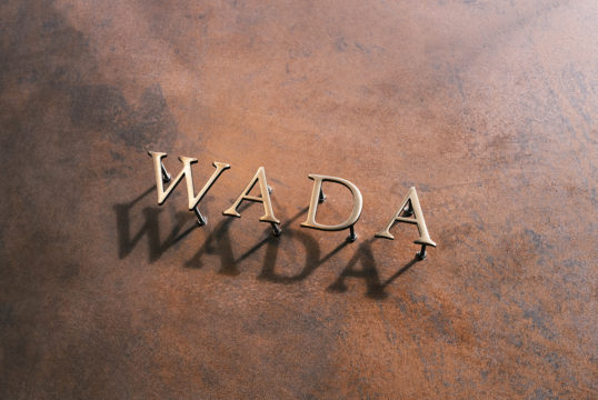 いぶし真鍮切り文字表札