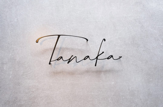 ステンレス切り文字表札