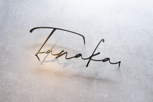 ステンレス切り文字表札