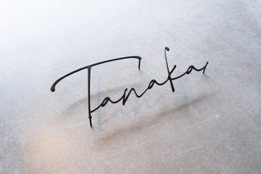 ステンレス切り文字表札