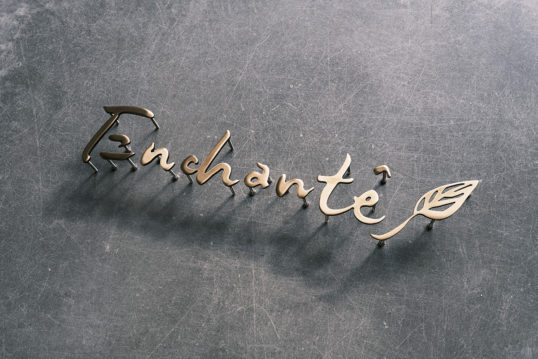 いぶし真鍮切り文字看板