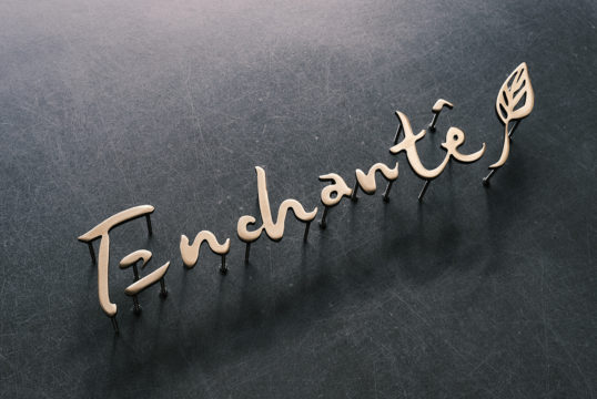 いぶし真鍮切り文字看板