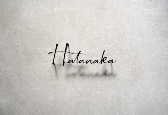 ステンレス切り文字表札