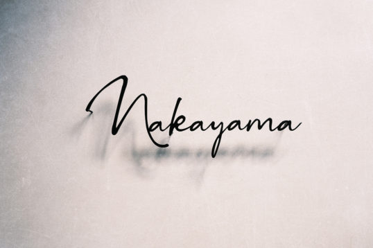 ステンレス切り文字表札