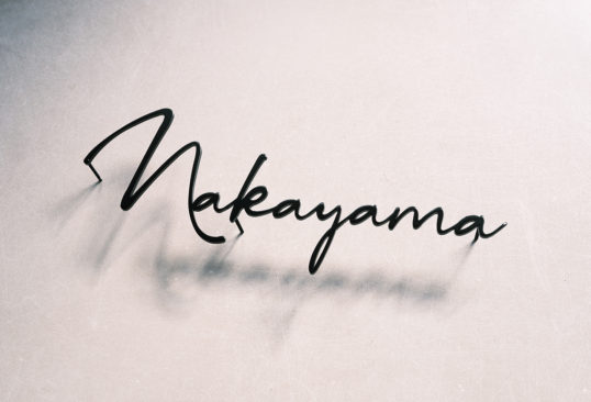 ステンレス切り文字表札