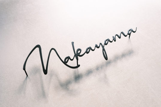 ステンレス切り文字表札