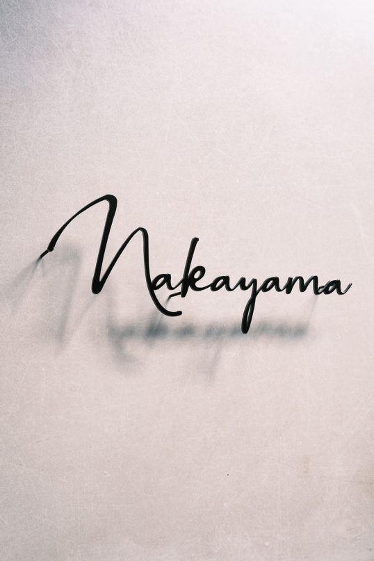 ステンレス切り文字表札