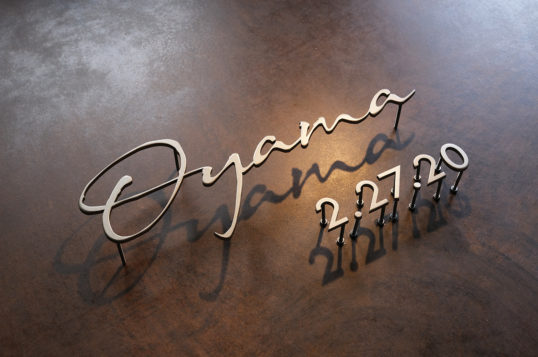 ステンレス切り文字表札