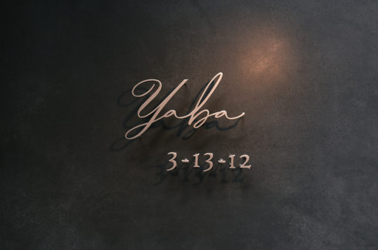 ステンレス切り文字表札