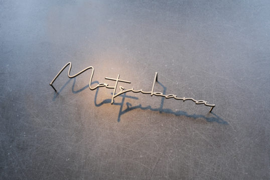 ステンレス切り文字表札