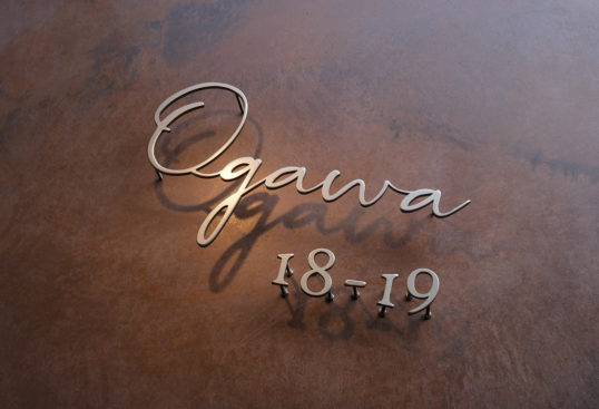 ステンレス切り文字表札