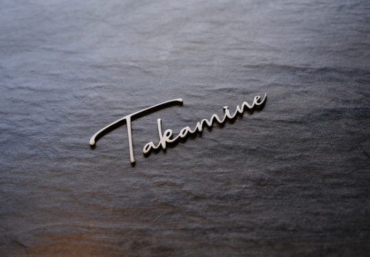 takamine2