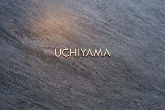 uchiyamaY1