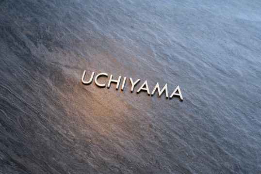 uchiyamaY1