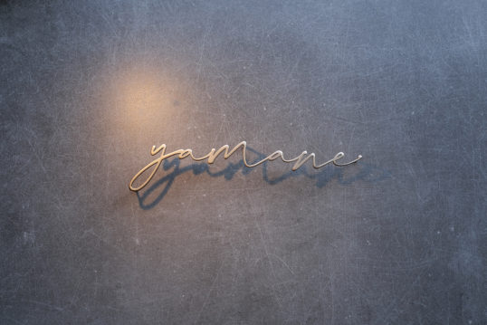 ステンレス切り文字表札