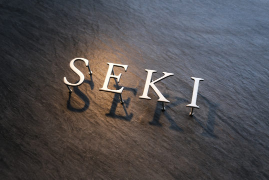 ステンレス切り文字表札